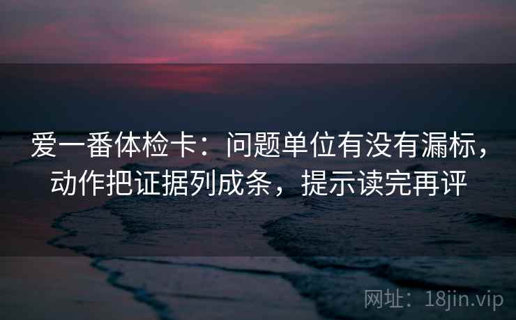 爱一番体检卡：问题单位有没有漏标，动作把证据列成条，提示读完再评