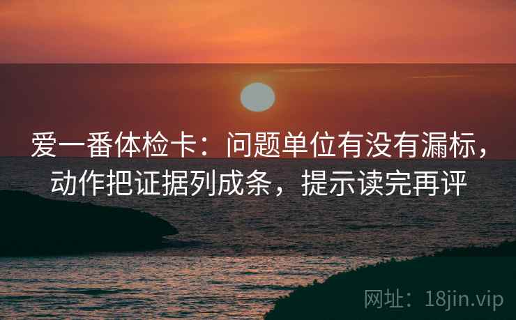 爱一番体检卡：问题单位有没有漏标，动作把证据列成条，提示读完再评