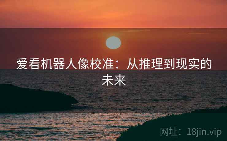爱看机器人像校准:从推理到现实的未来 爱看机器人像校准:从推理到现实的未来
